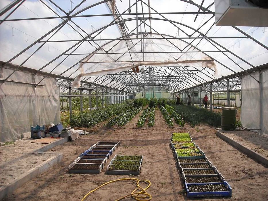 Plandeka 2x3 100g Przeźroczysta Zbrojona Biała Uv+ Ogrodowa Na Rośliny