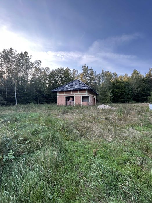 Dom na wzgórzu – cisza, przestrzeń i natura
