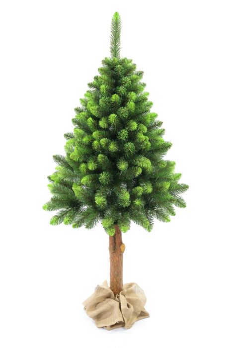 NOWA choinka sztuczna na pniu sosna z białymi końcówkami 160,180cm 220