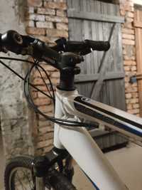 rower rozmiar L Giant revel biały 26"