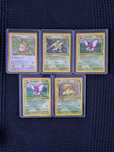 Pokemon TCG [Jungle]
