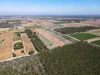Terreno 26.400m² – Santo Isidro de Pegões | Viabilidade de Construção