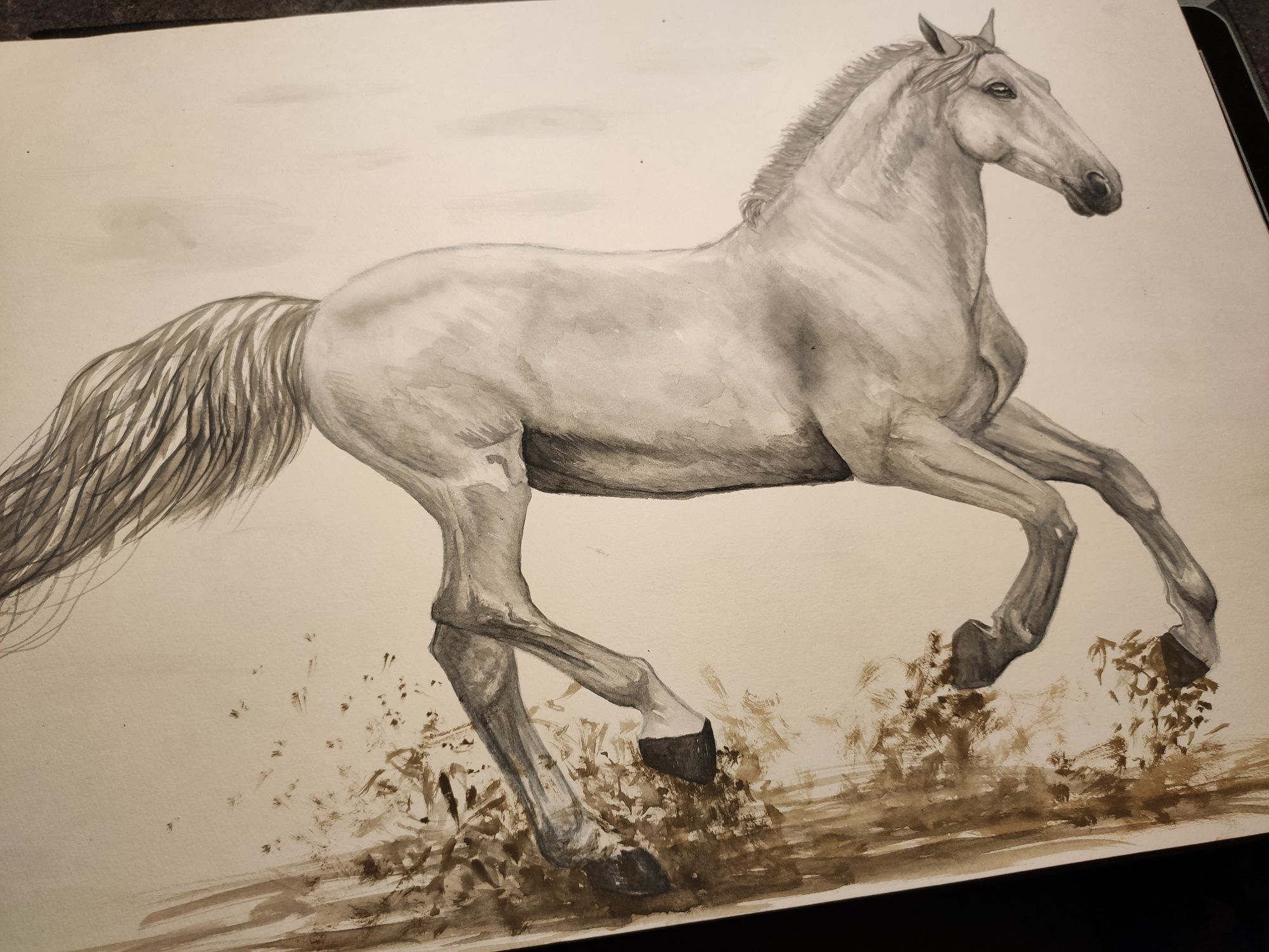 Картина акварелью А3 - лошадь в галопе