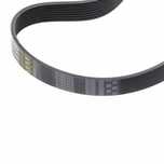 Pasek wielorowkowy napędu wentylatora 8PK Claas 0785355 Gates