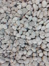 Pedras para calçada estilo Madeirense