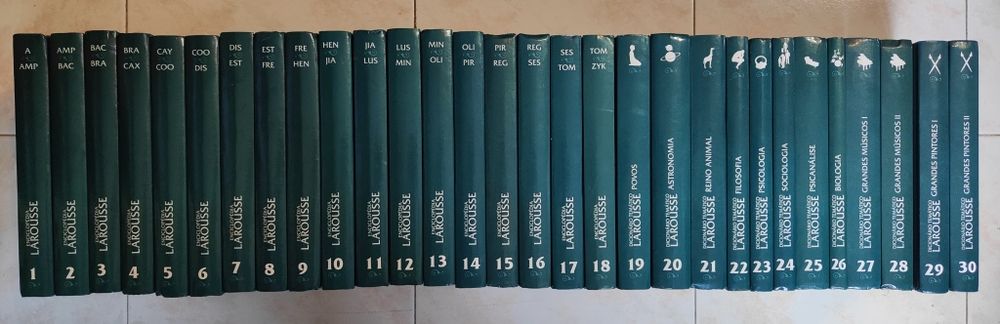 Coleção - Enciclopédia / Dicionário Temático Larousse