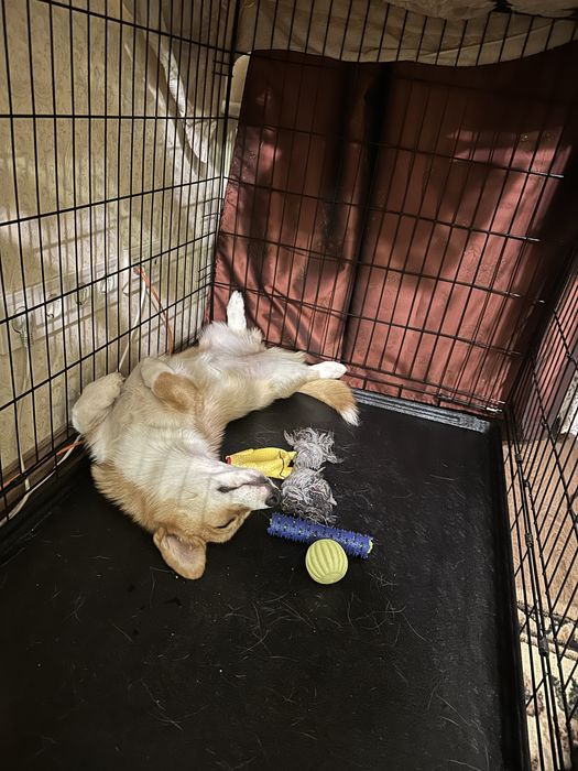 Вальер/клітка для тварин 120*80*80