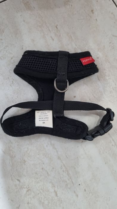 Peitoral puppias xs (preço negociável)