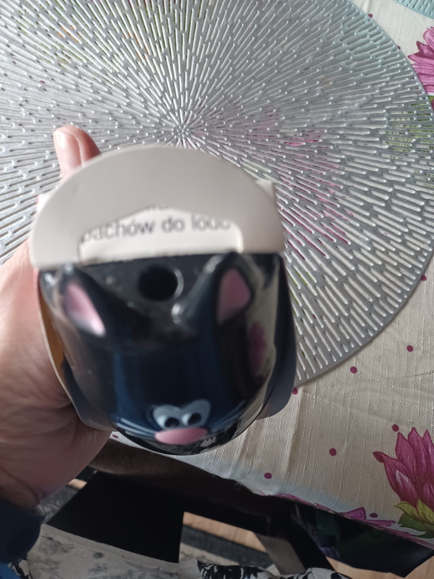 Pochłaniacz zapachów do lodówki