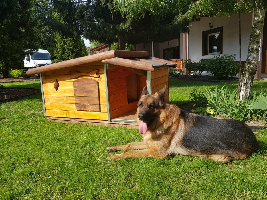 Buda dla psa xl z przedsionkiem
