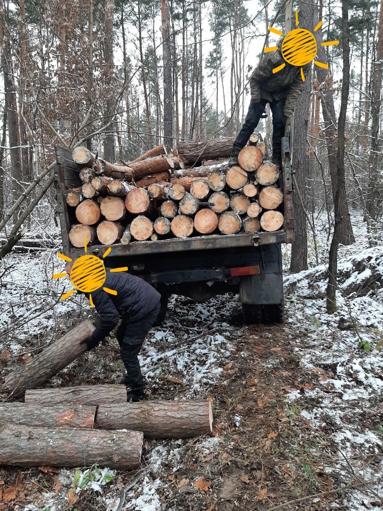 Продам дрова твердих порід та соснові