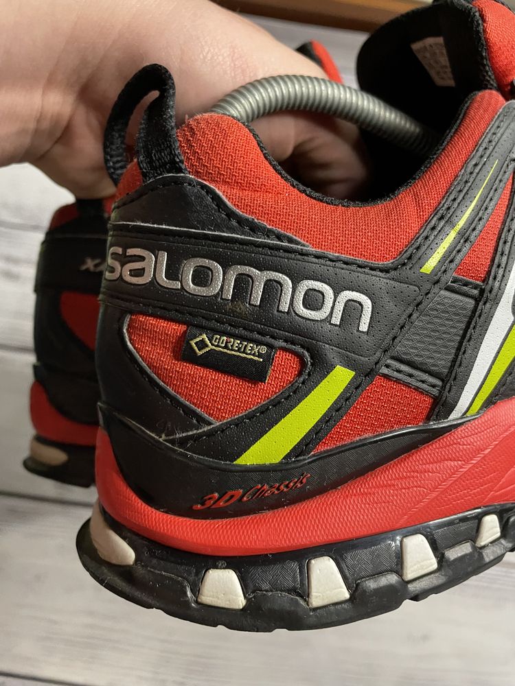 Трекинговые кроссовки Salomon XA Pro 3D Gore Tex