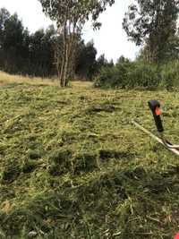 Limpeza florestal e abate de arvores