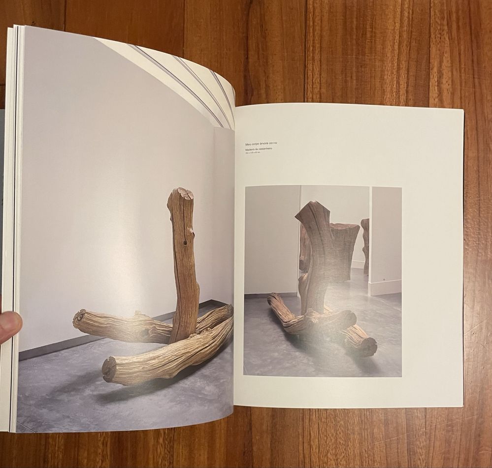 Alberto Carneiro - Manifestos: Antologia Breve