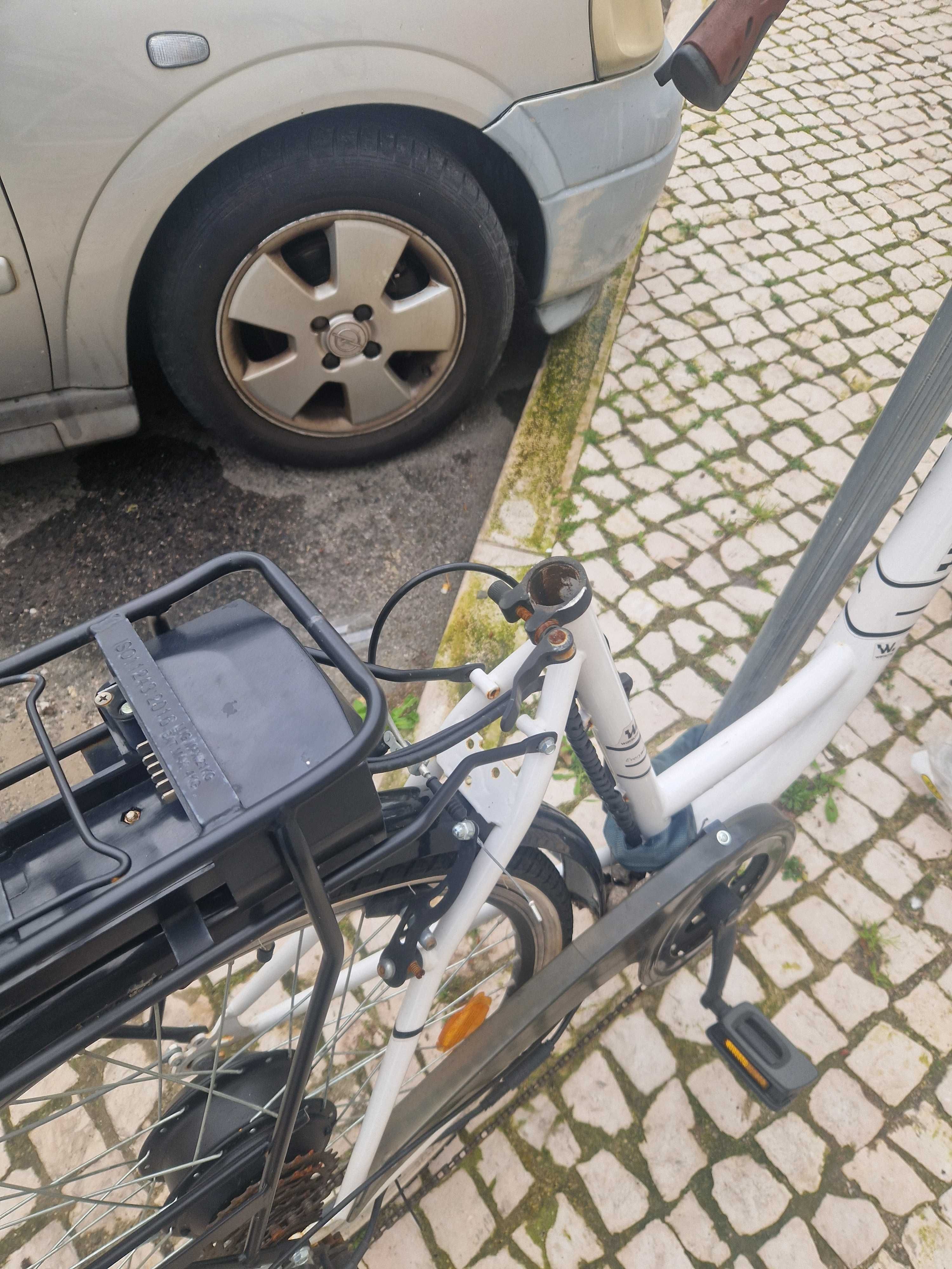 Wayscral Everyway E100