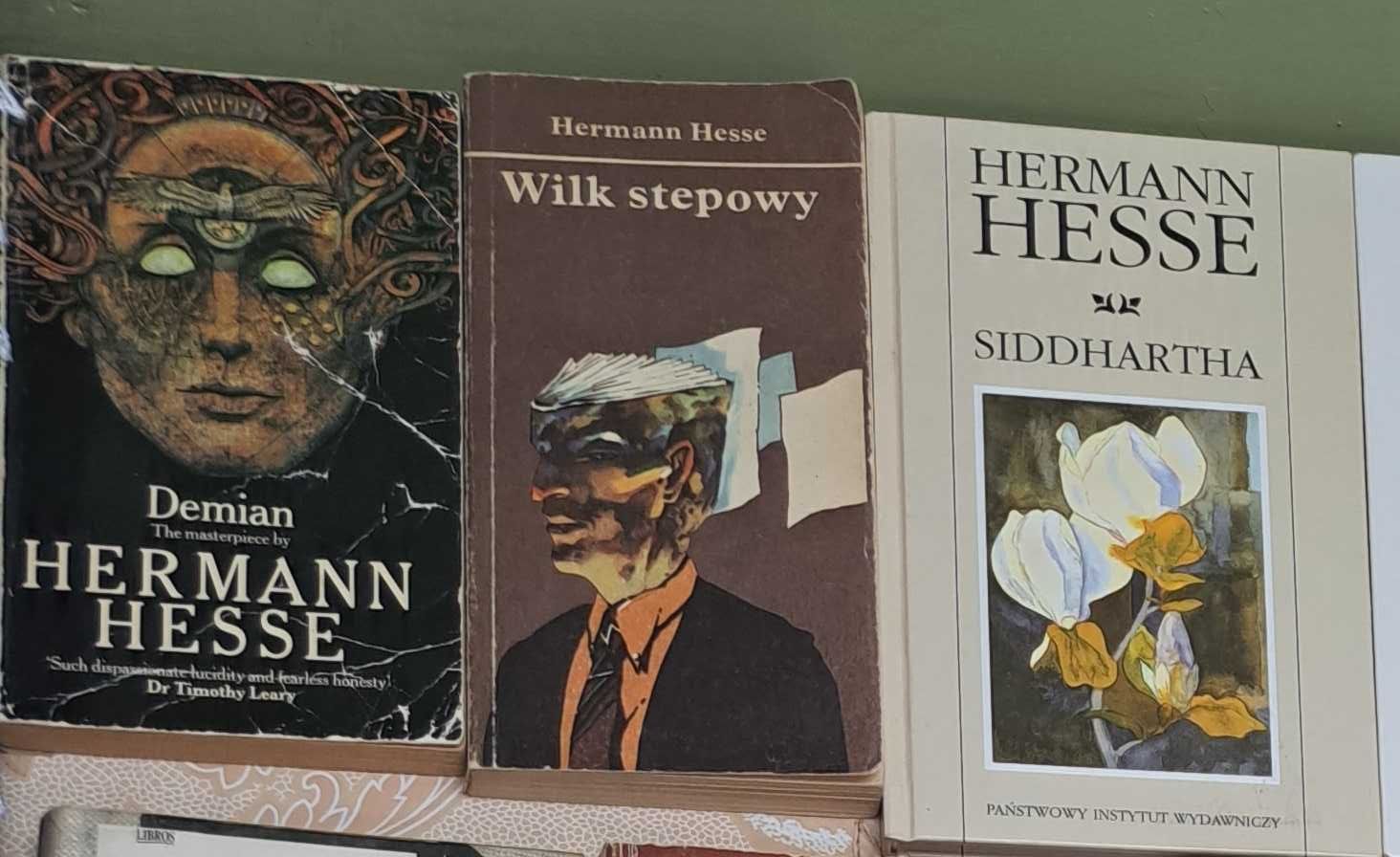 Siddhartha Hesse Wilk stepowy Demian po angielsku Hermann Hesse zestaw