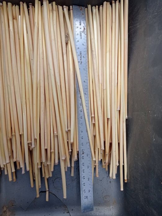 Льон, Пшениця, Овес, жито, нігела, фаляріс, сухоцвіти, соломка павука