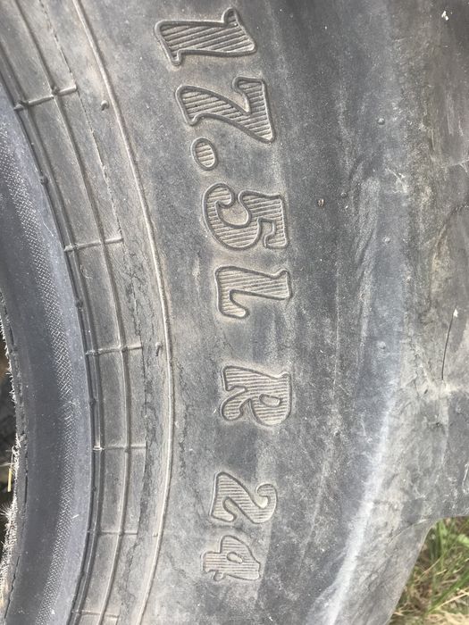 Opony, dwunasto letnie