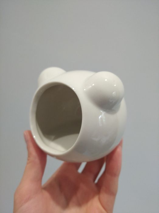 Akcesoria dla gryzoni