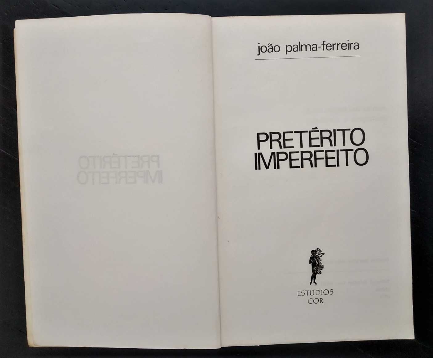 Pretérito Imperfeito (notas a Herberto Hélder, Maria Velho da Costa)
