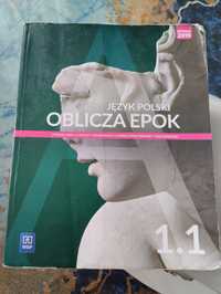 Język polski oblicza epok 1.1