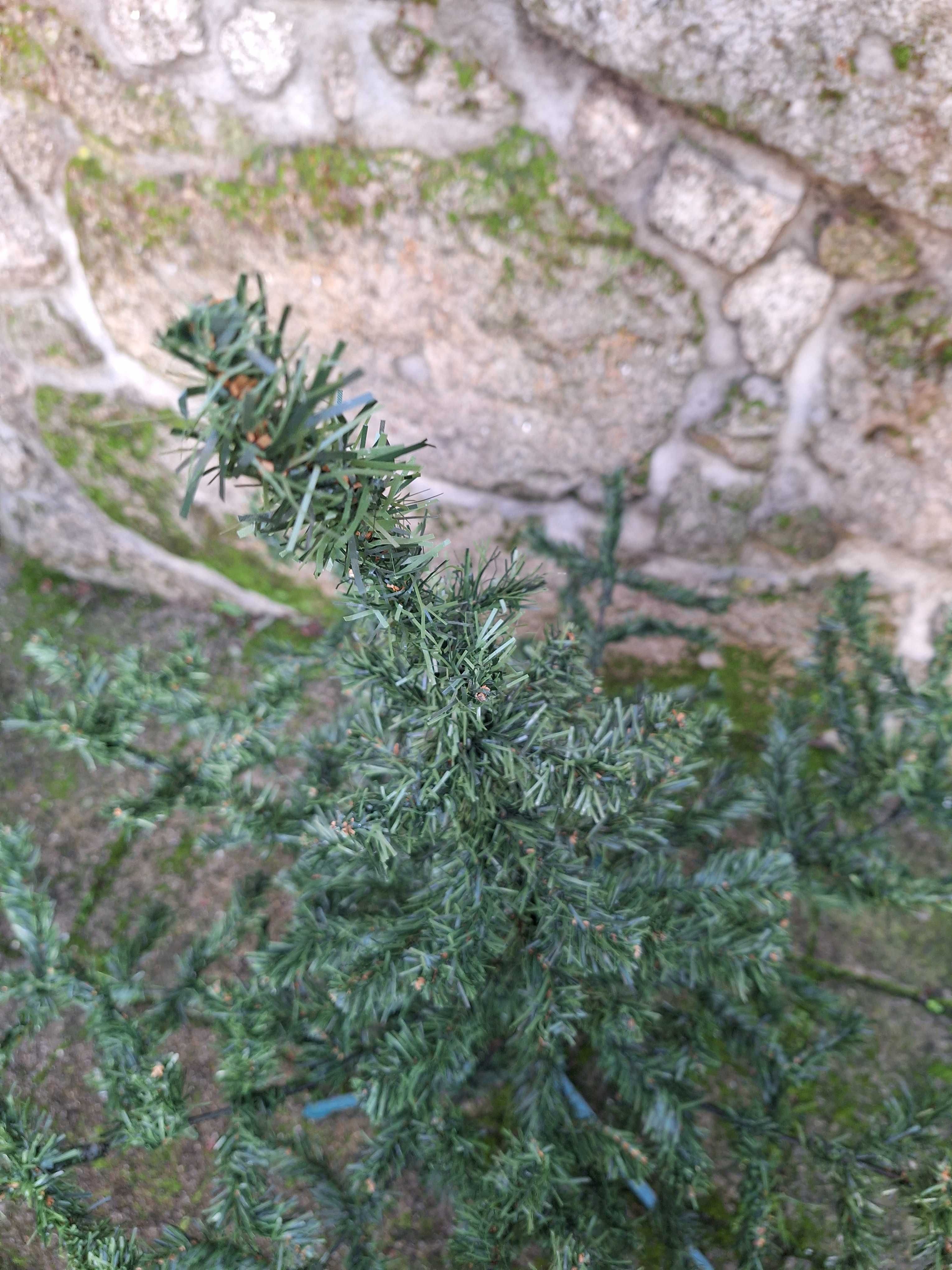 Pinheiro de natal com 1m de altura