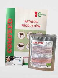 GALAVIT elektrolity witaminy drób gołębie odwodnienie Comfeed 100g