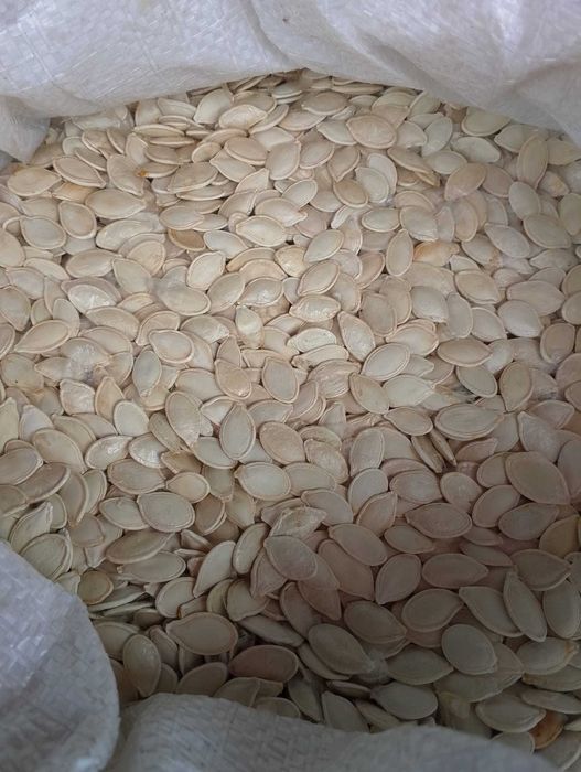 гарбузове насіння, сушене в печі