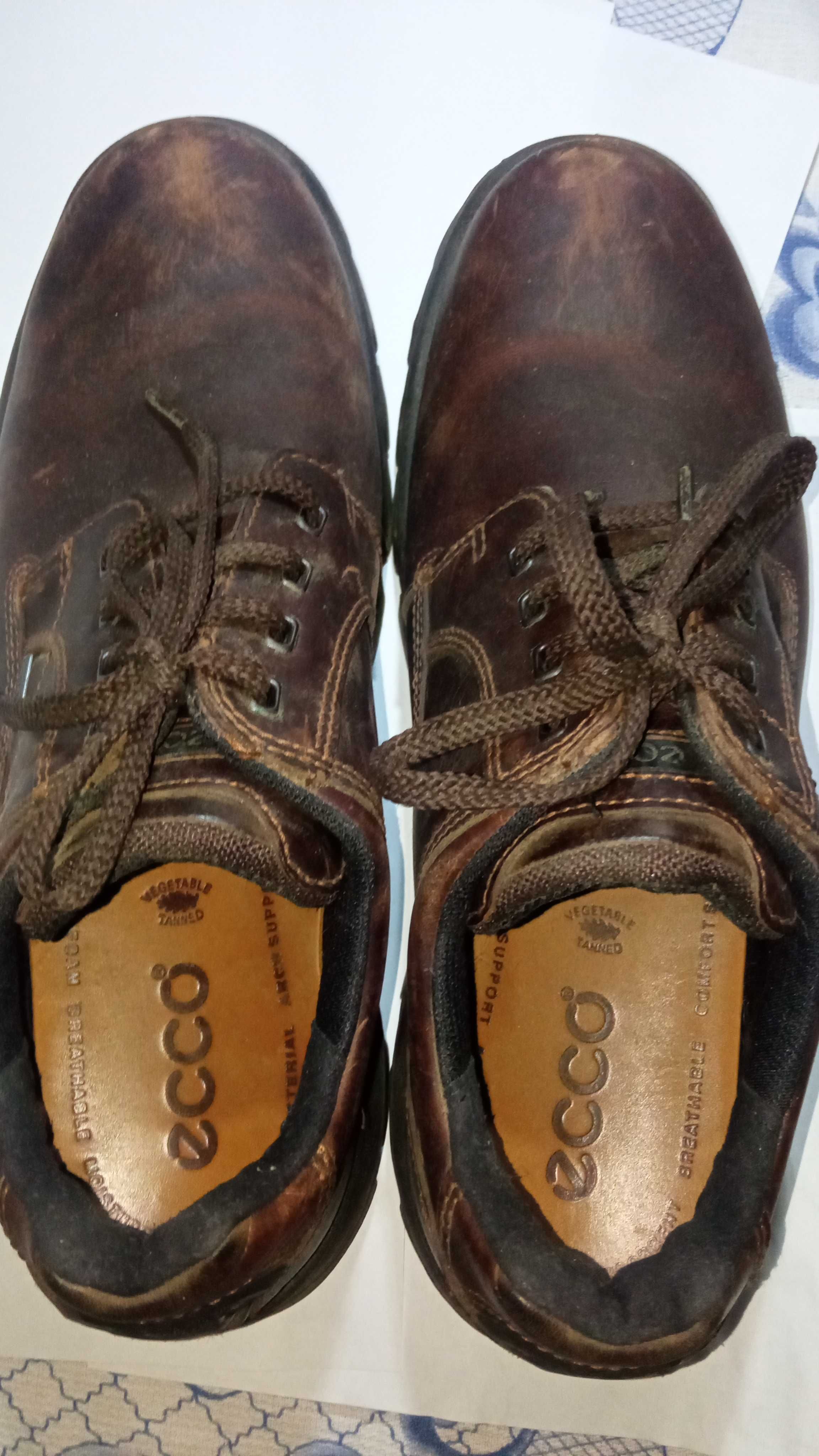 Демисезонные мужские туфли ECCO