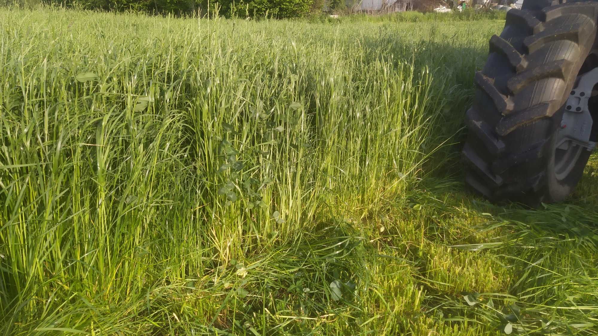 4kg Sianko, Siano dla gryzoni, królika, super jakość, szybka wysyłka