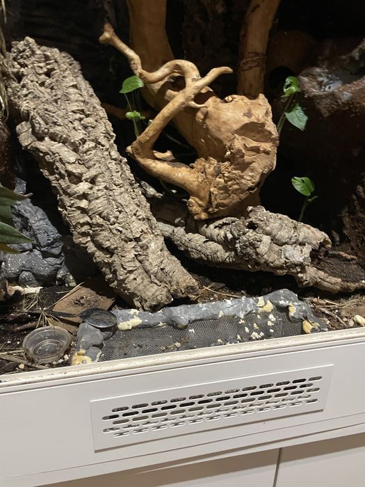 Podwojne terarium + pelne wyposazenie pod jaszczurki  !