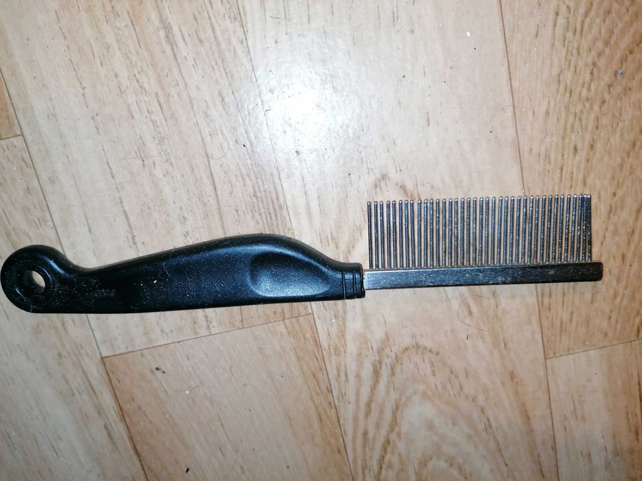 Cama, manta, trela, pente, corta unhas para cão