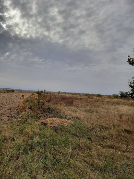 Козаровичі, 82 сотки, для садівництва