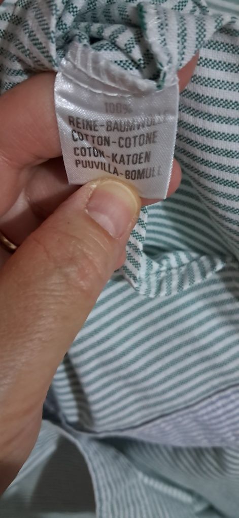 Camisa oxford mulher de riscas verde e branco,  S