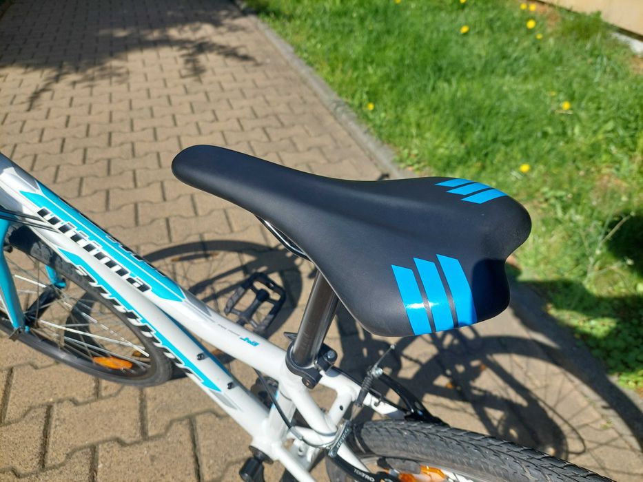 Markowy rower AUTHOR ULTIMA 24, model 2019, biało-niebieski.