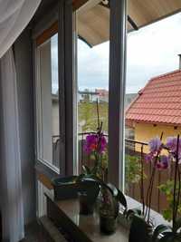 Okna balkonowe oraz dwuskrzydkowe