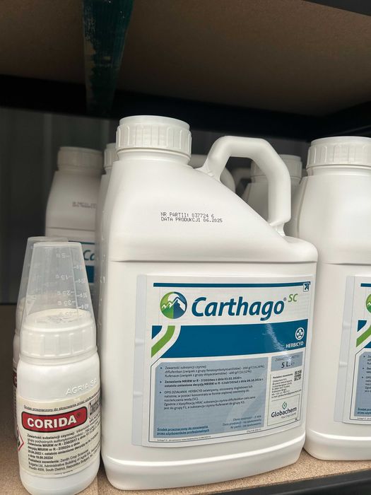 Środki ochrony roślin – jesienne zwalczanie chwastów w zbożach ozimych