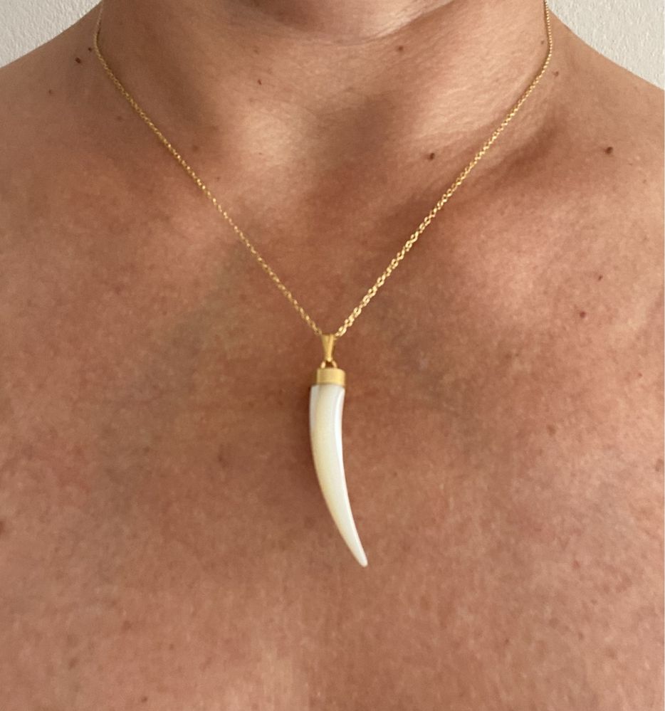 Colar dourado com chifre
