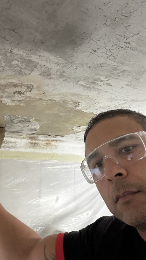 Pintor qualificado em acabamento fino