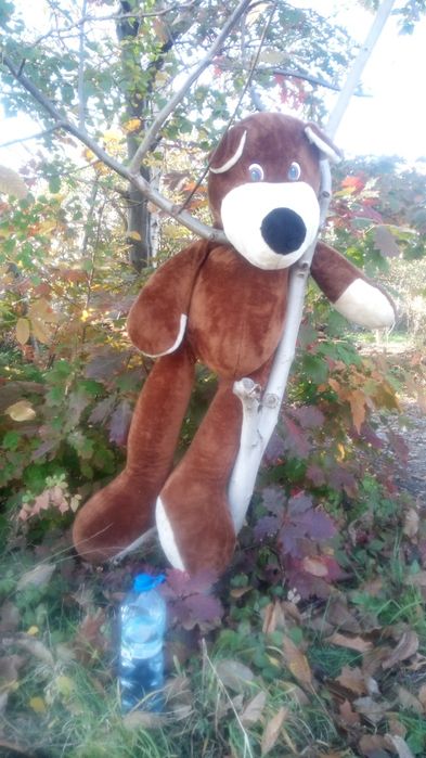 Wielki pluszowy miś pies 160 cm