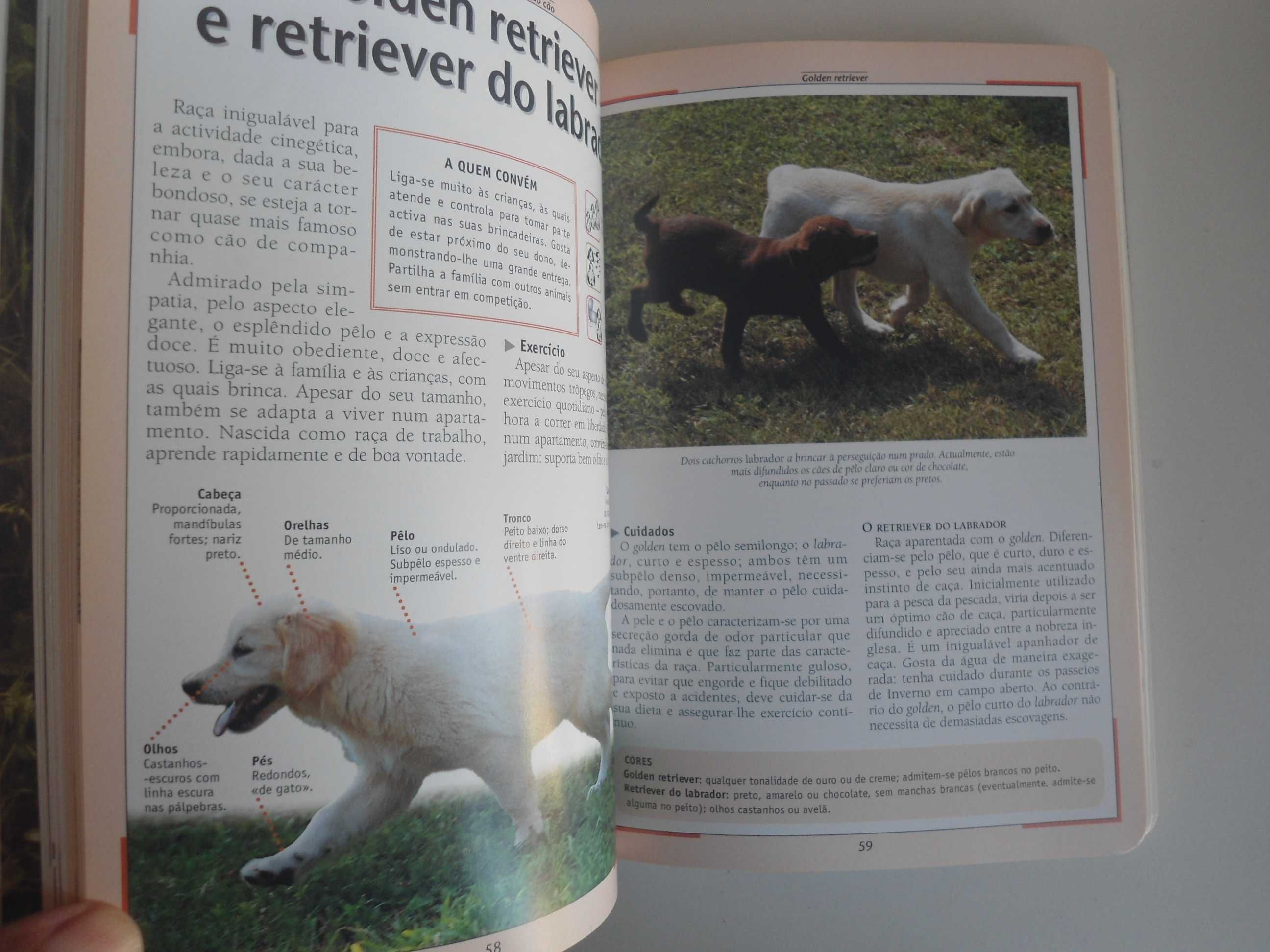 Livro: Cuidado e adestramento do cão