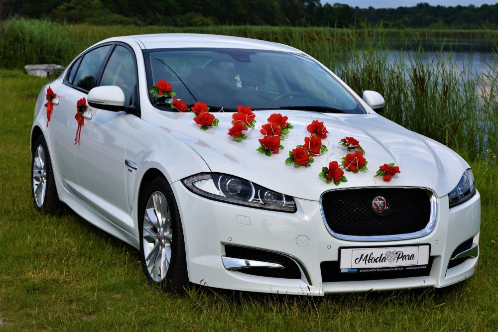 Samochód na wesele ślub biały Jaguar XF  SPORT