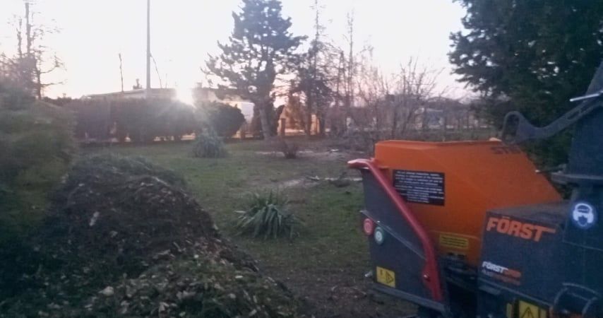 Wycinka drzew mulczowanie rębak