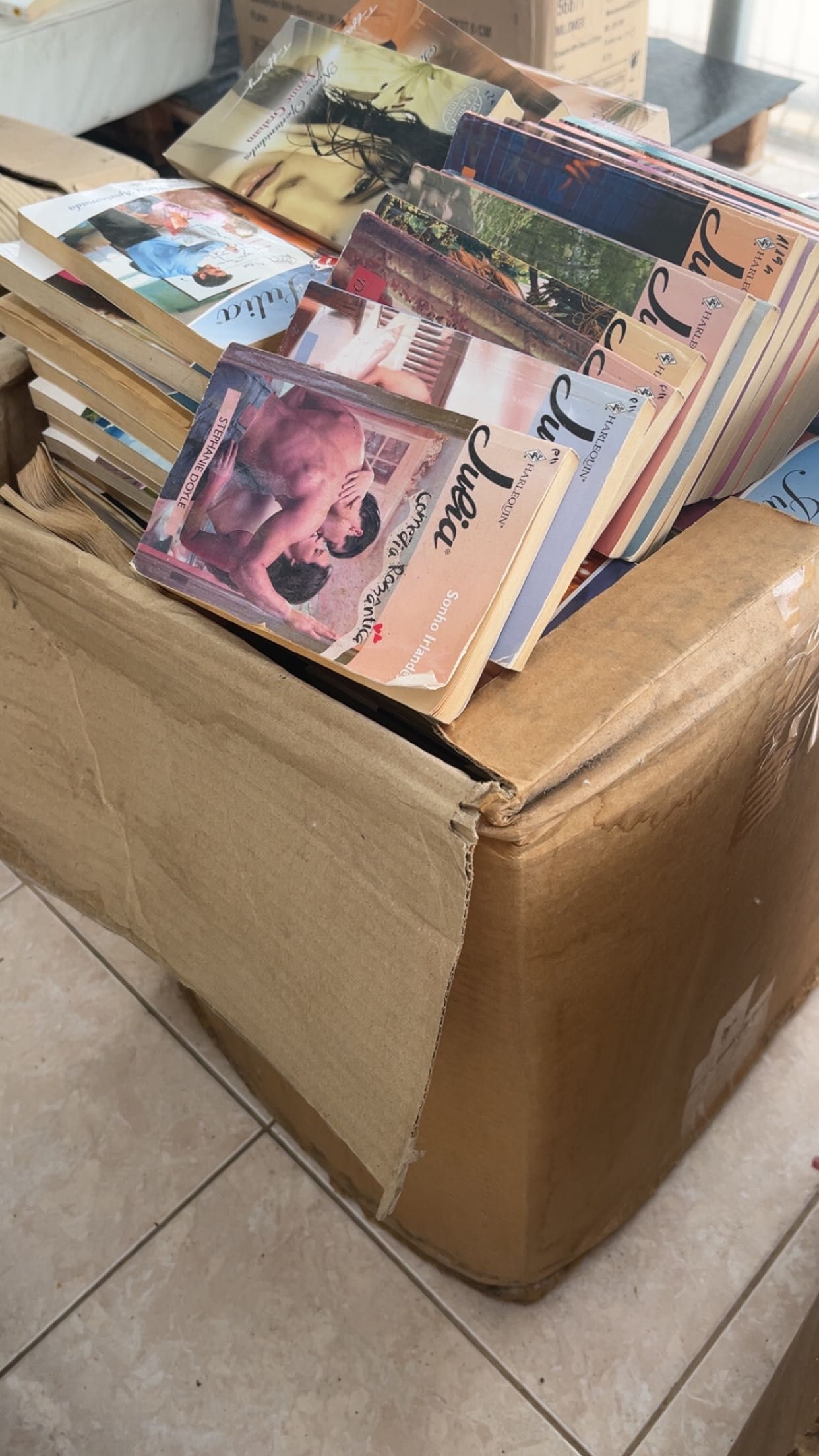 Coleção livros Júlia lote