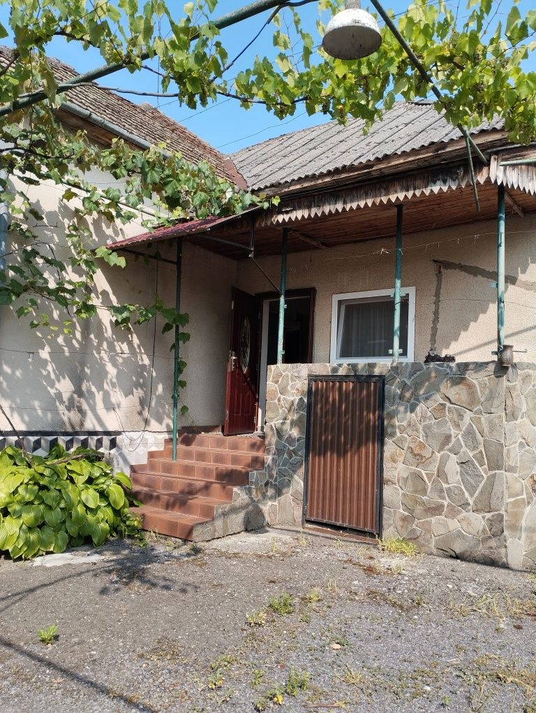 Продам дом Закарпатье Дерцен