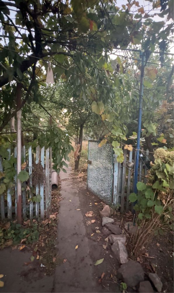 Продається будинок центрально-міський район.