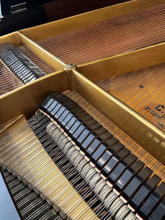 Piano de cauda C.Bechstein A 1,85m Impecável