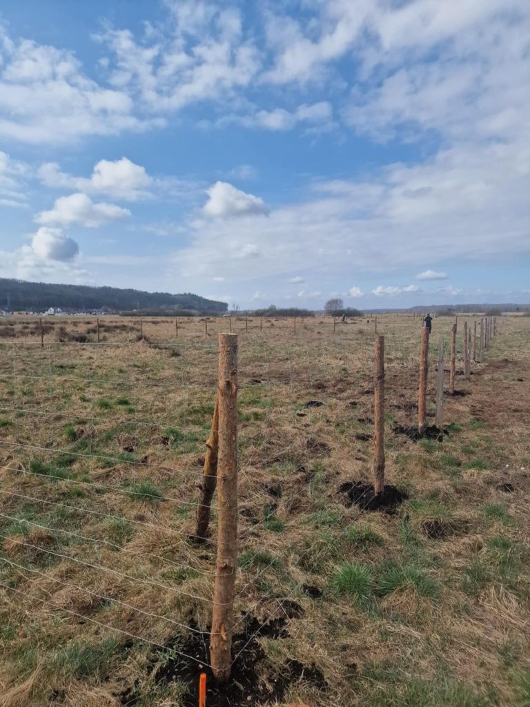 Ogrodzenie Lesne Tymczasowe Budowlane ranczo materiał