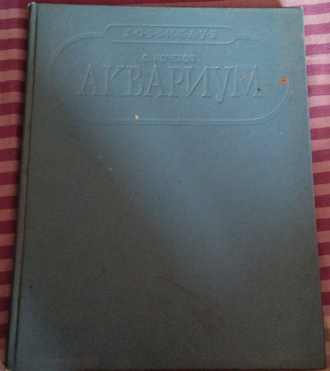 Аквариум С. Кочетов 1992