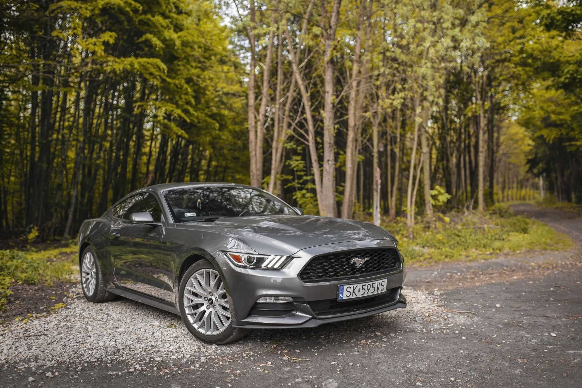 WYNAJEM FORD MUSTANG V6 - już od 400zł/brutto! Idealne na ślub!